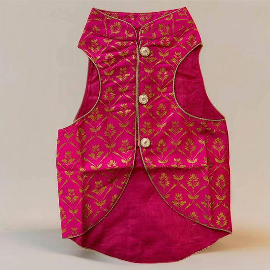 Hot Pink Dog Sherwani