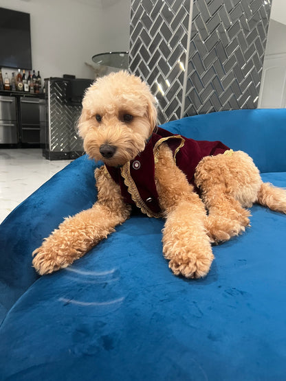 Maroon Godly Ethnic Sherwani