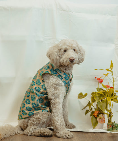 Green Floral Sherwani