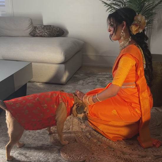 Orange Floral Dog Sherwani 